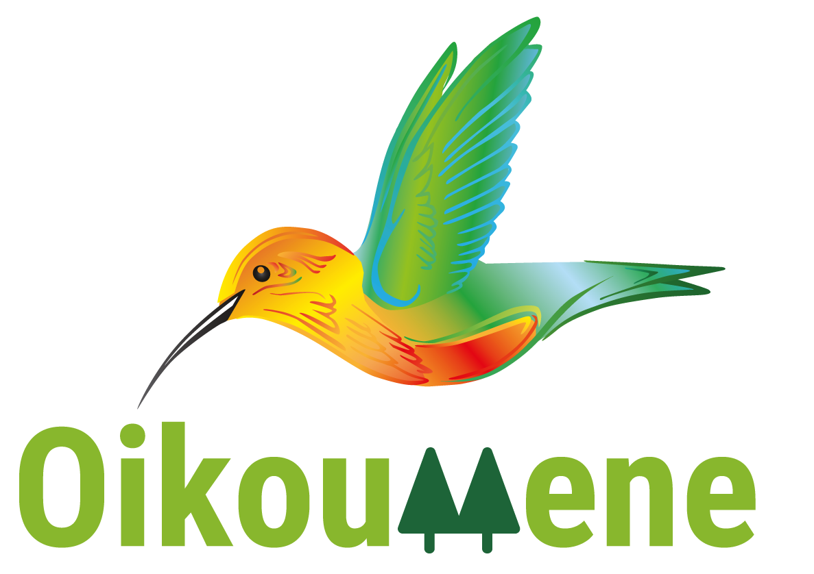 My Website